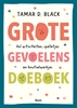Afbeelding van Grote gevoelens doeboek