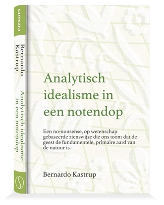Afbeeldingen van Analytisch idealisme in een notendop
