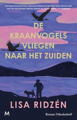 Afbeeldingen van De kraanvogels vliegen naar het zuiden