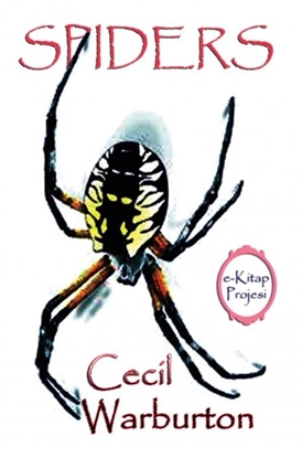 Afbeeldingen van Spiders