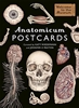 Afbeelding van Anatomicum Postcard Box