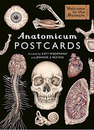 Afbeeldingen van Anatomicum Postcard Box