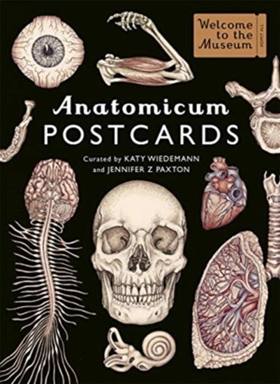 Afbeelding van Anatomicum Postcard Box