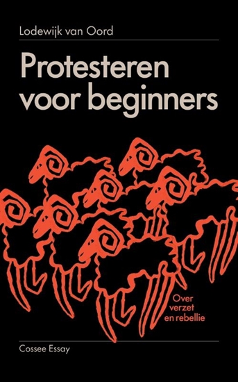 Afbeelding van Protesteren voor beginners