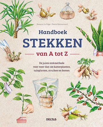 Afbeeldingen van Handboek stekken van A tot Z