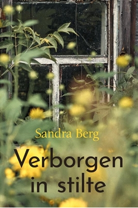 Afbeeldingen van Romanserie Verborgen in stilte