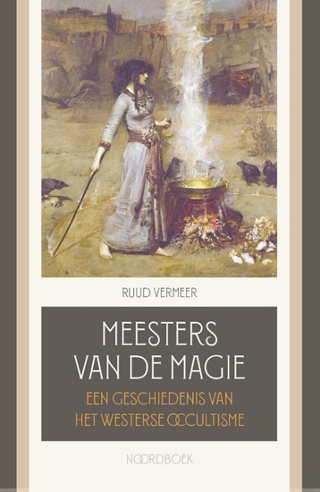 Afbeelding van Meesters van de magie