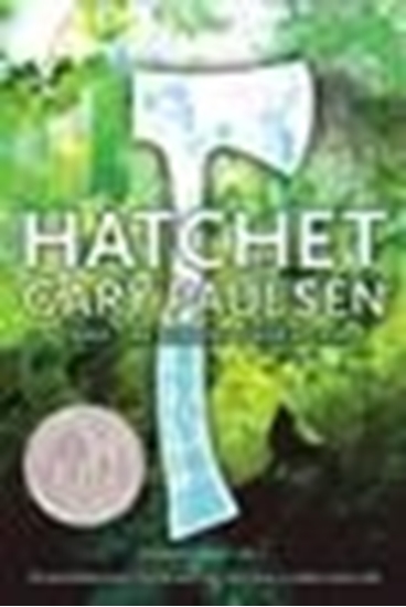 Afbeelding van Hatchet