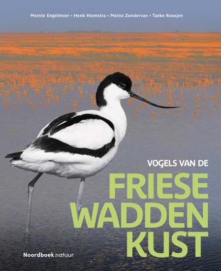 Afbeelding van Vogels van de Friese Waddenkust