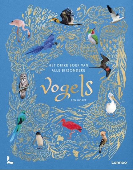 Afbeelding van Het dikke boek van alle bijzondere vogels