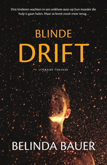 Afbeelding van Blinde drift