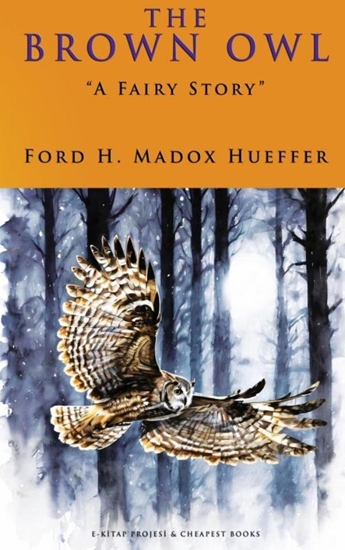 Afbeelding van The Brown Owl