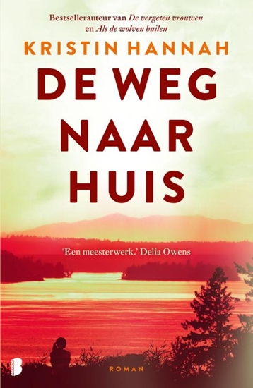 Afbeelding van De weg naar huis