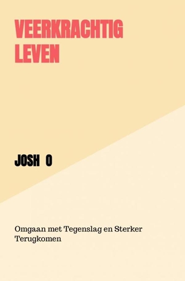 Afbeelding van Veerkrachtig leven