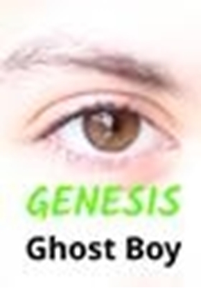 Afbeeldingen van Genesis