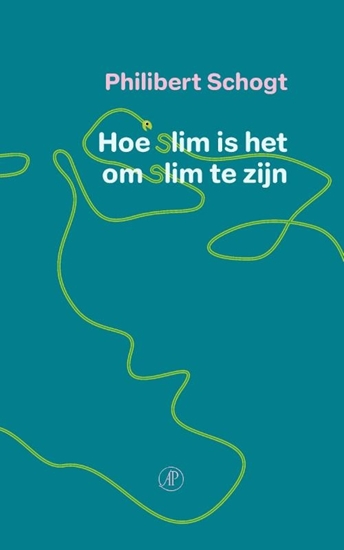 Afbeelding van Hoe slim is het om slim te zijn