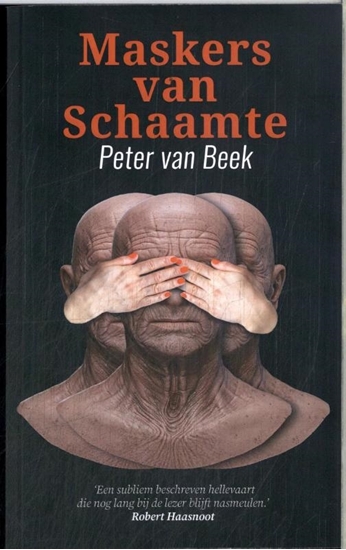 Afbeelding van Maskers van schaamte