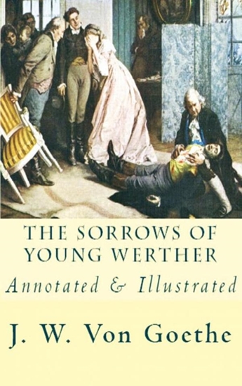 Afbeelding van The Sorrows of Young Werther