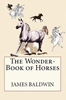 Afbeelding van The Wonder-Book of Horses