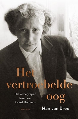 Afbeeldingen van Het vertroebelde oog