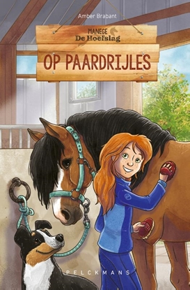 Afbeeldingen van Manege De Hoefslag Op paardrijles