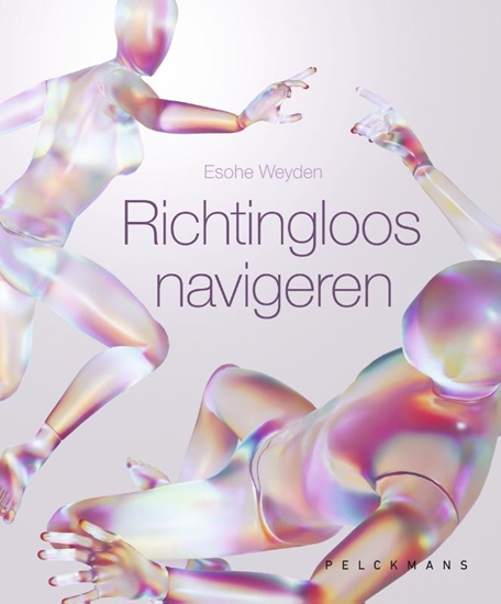 Afbeelding van Richtingloos navigeren