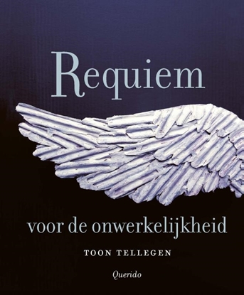 Afbeeldingen van Requiem voor de onwerkelijkheid