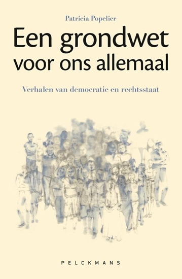 Afbeelding van Een grondwet voor ons allemaal
