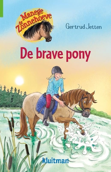 Afbeelding van Manege de Zonnehoeve De brave pony