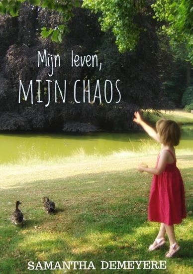 Afbeelding van Mijn Leven. Mijn chaos.