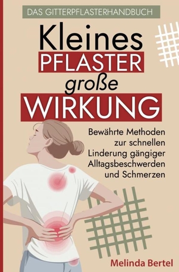 Afbeelding van Kleines Pflaster, große Wirkung – Das Gitterpflaster Handbuch