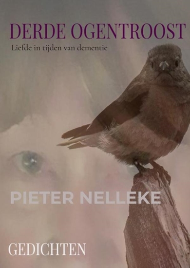 Afbeelding van DERDE OGENTROOST