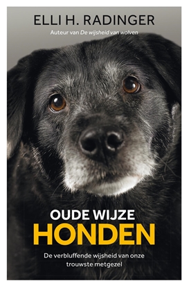 Afbeeldingen van Oude wijze honden