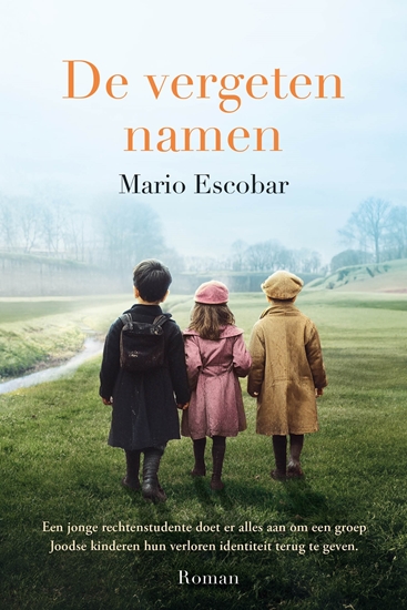 Afbeelding van De vergeten namen