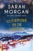 Afbeelding van De O'Neil broers Vuurwerk in de sneeuw