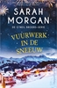 Afbeelding van De O'Neil broers Vuurwerk in de sneeuw