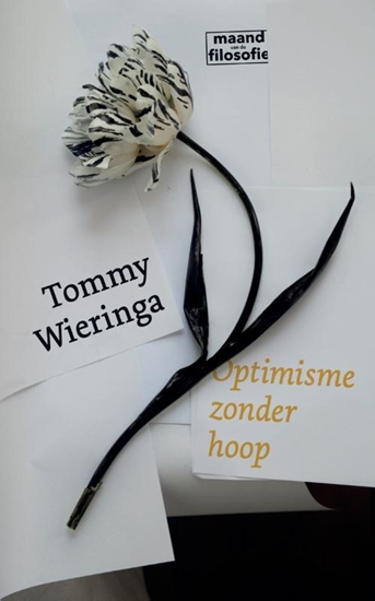 Afbeelding van Optimisme zonder hoop