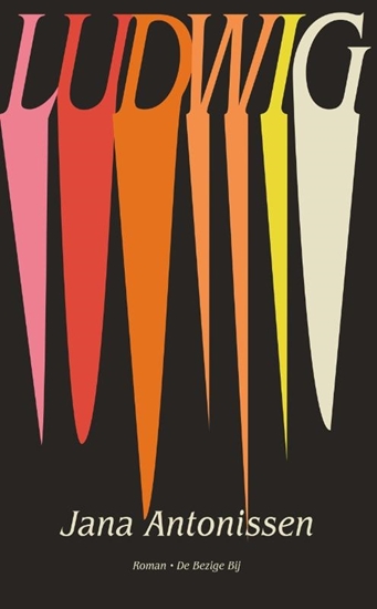 Afbeelding van Ludwig