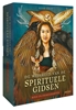 Afbeelding van De wijsheid van de spirituele gidsen