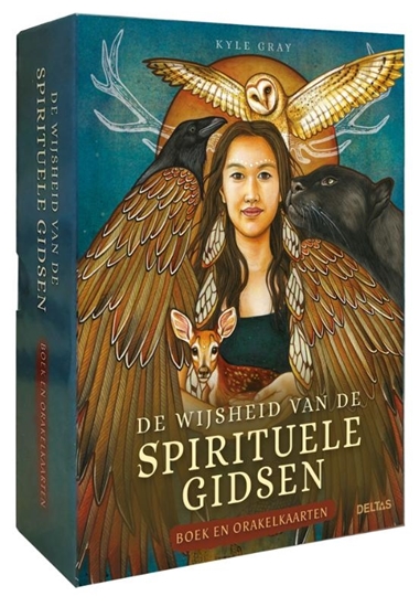 Afbeelding van De wijsheid van de spirituele gidsen