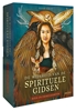 Afbeelding van De wijsheid van de spirituele gidsen