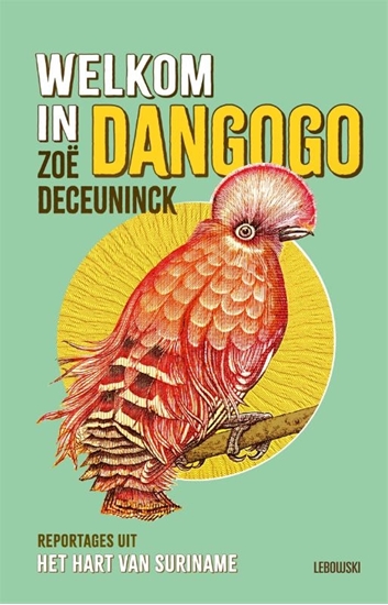 Afbeelding van Welkom in Dangogo