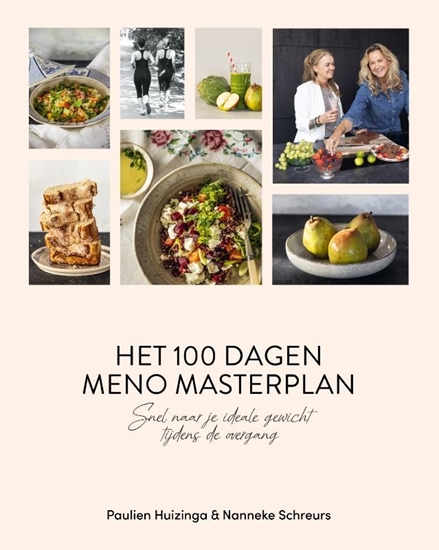 Afbeelding van Het 100 dagen meno masterplan