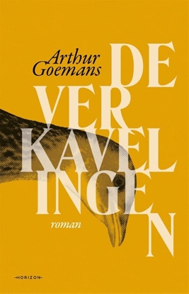 Afbeeldingen van De verkavelingen