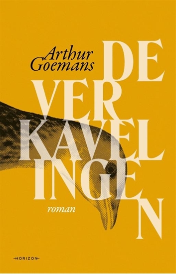 Afbeelding van De verkavelingen