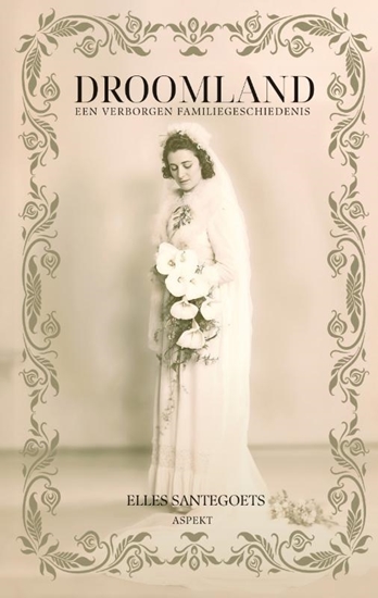 Afbeelding van Droomland