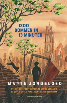 Afbeeldingen van 1300 bommen in 13 minuten
