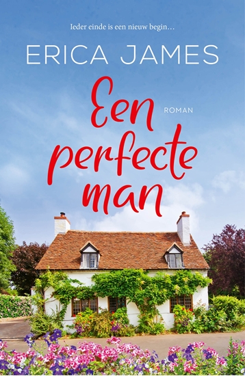 Afbeelding van Een perfecte man