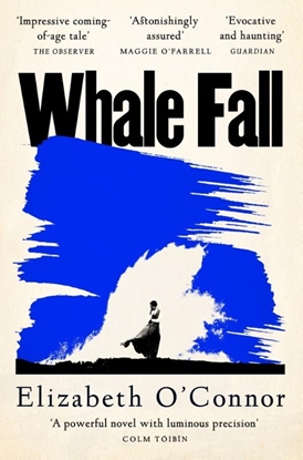 Afbeeldingen van Whale Fall
