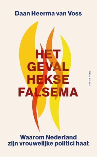 Afbeelding van Het geval Hekse Falsema